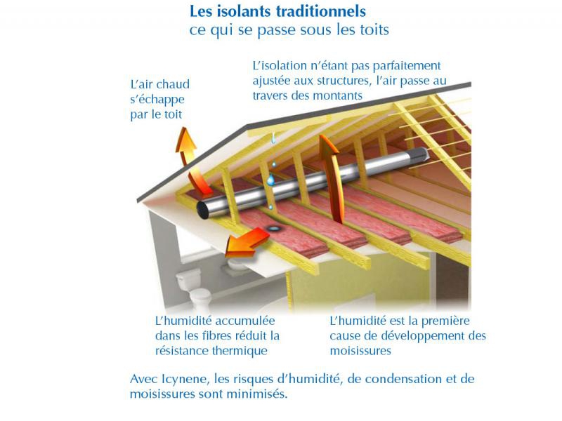 Application Icynène